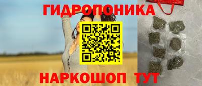 шишки Тара