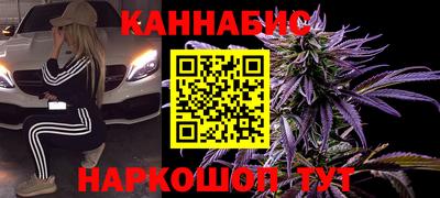 шишки Тара