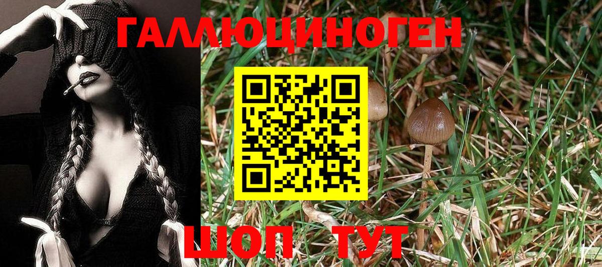 Галлюциногенные грибы Magic Shrooms Тара
