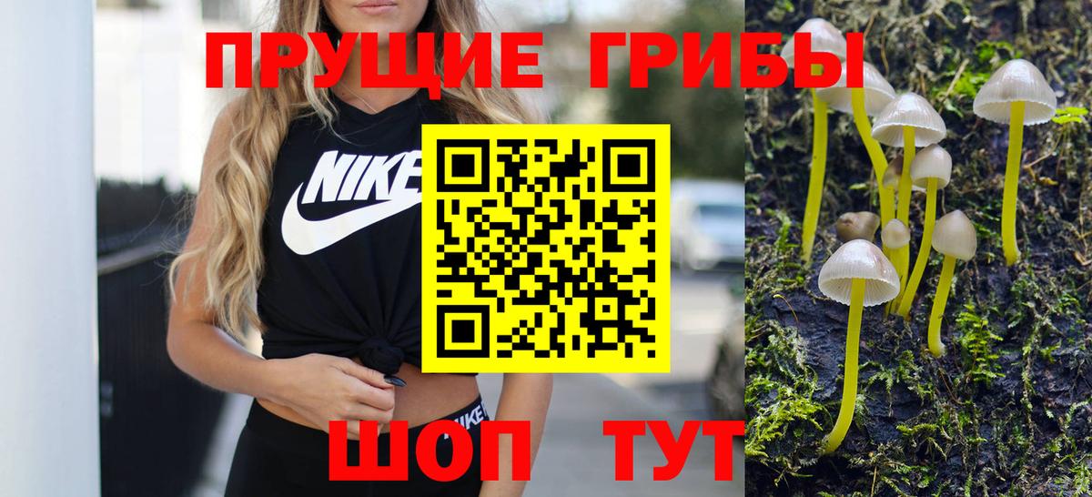Тара  сколько стоит  Вход с VPN  Псилоцибиновые грибы Psilocybe  Галлюциногенные грибы Magic Shrooms 